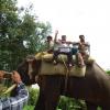 Elephant ride at Dubaire Forest